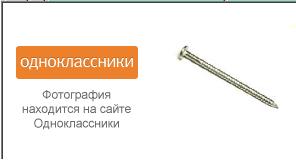 гвоздик.JPG