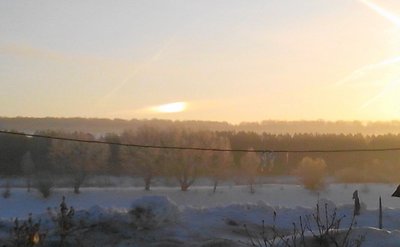 IMG_20130219_093625.jpg