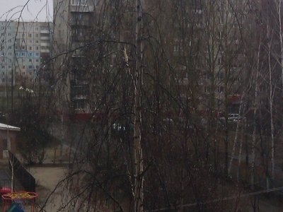 IMAG0396.jpg