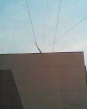 IMG0495A.jpg