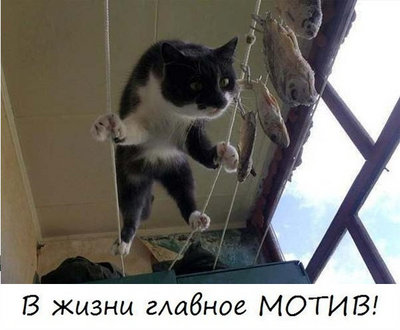 image_0.jpeg