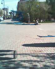 IMG0554A.jpg