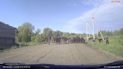 пробка в д.Птицы