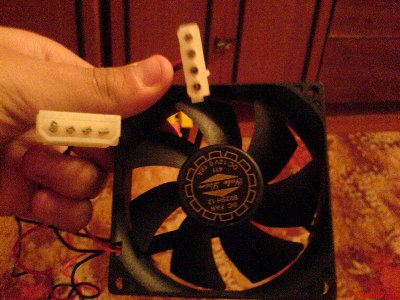 DSC00178.JPG