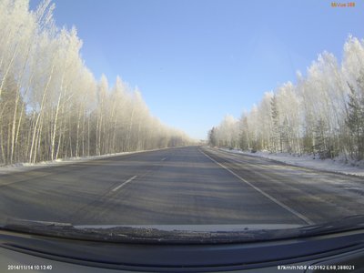 Тобольский р-н, около М.Зоркальцева - красиво, деревья во льду.....