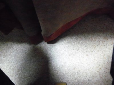 102_4994.JPG