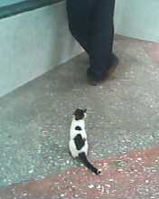 IMG1823A.jpg