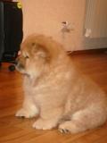 DSC01018.JPG