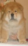 DSC01079.JPG