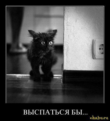 Выспаться...