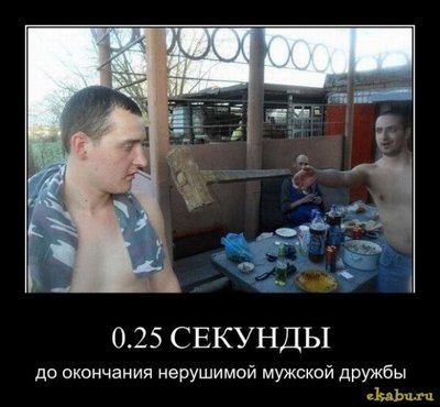 про дружбу