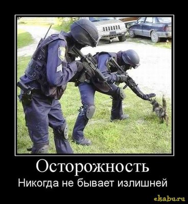опять полицайские